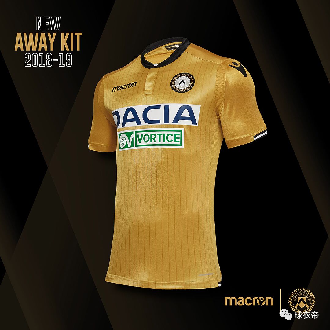 不仅展示了 不仅展示了